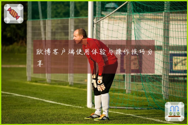 欧博客户端使用体验与操作技巧分享
