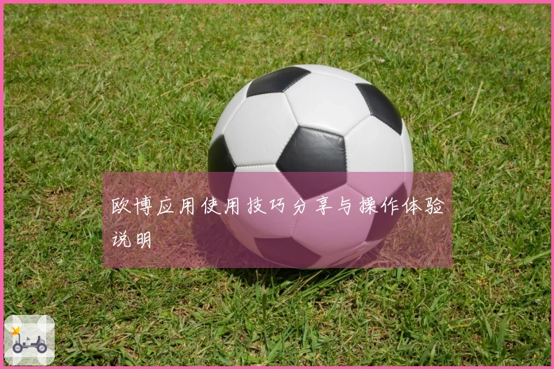 欧博应用使用技巧分享与操作体验说明