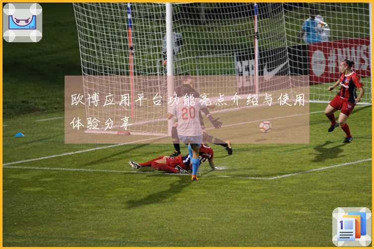 欧博应用平台功能亮点介绍与使用体验分享