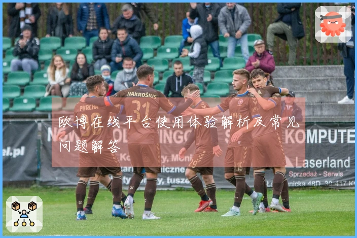 欧博在线平台使用体验解析及常见问题解答